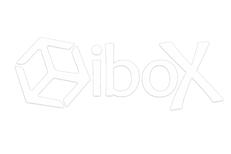 iBox Logo 3D